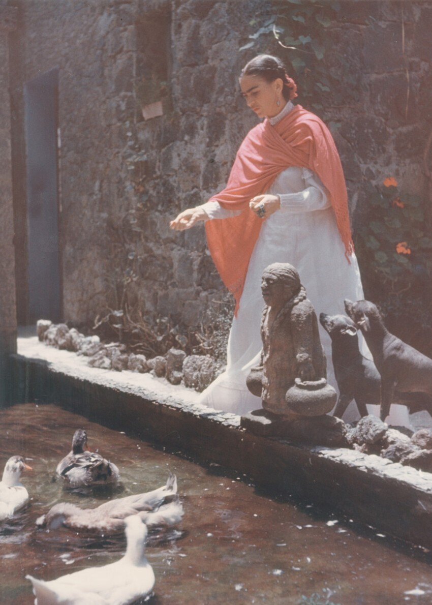 Фотограф Жизель Фройнд: Фрида Кало в саду Голубого дома  
