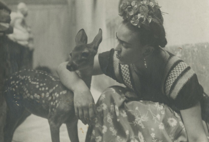 Фрида с оленёнком, 1939