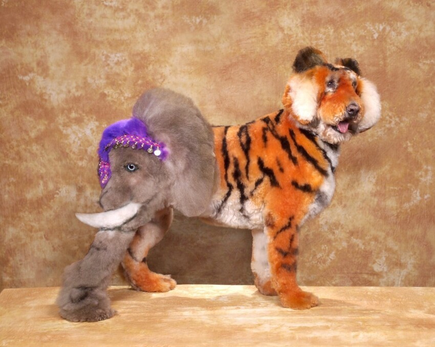 3. Собака-лев-слон