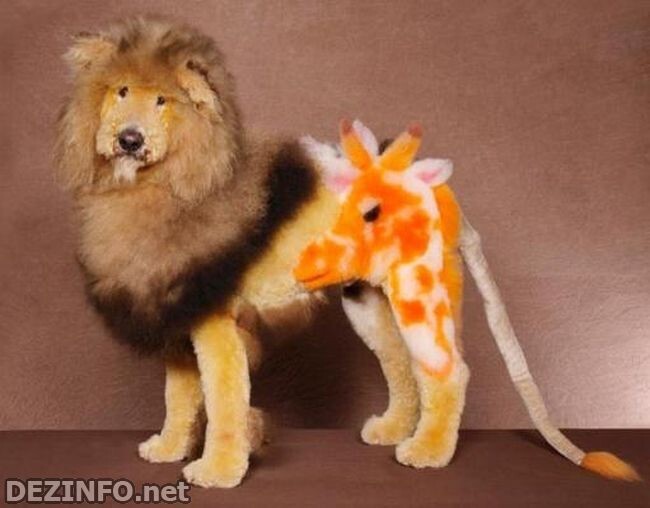 6. Собака-лев-жираф