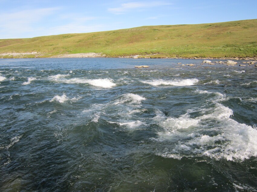 Вот он перекат, где водятся самые большие