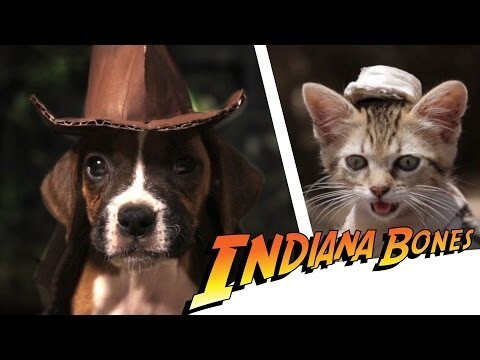 Indiana Bones - Raiders of the Lost Bark 