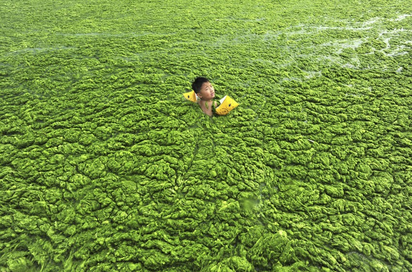 18. Ребенок плавает в водорослях
