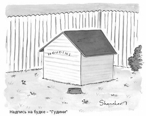 Карикатуры от журнала New Yorker