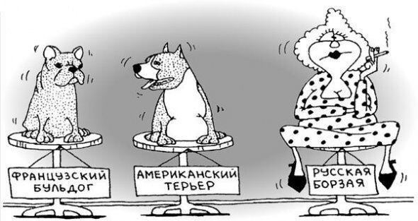 Смешные и прикольные карикатуры