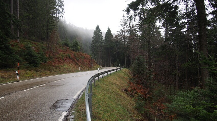 Юг Германии. Шварцвальд. В переводе с немецкого "черный лес". Красивая дорога. Красивые места. Нам не повезло. Почти все время шел дождь.
