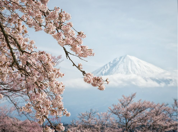 Лучшие фотографии  National Geographic