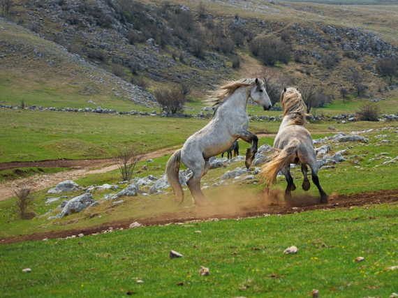 Лучшие фотографии  National Geographic