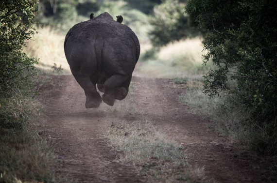 Лучшие фотографии  National Geographic