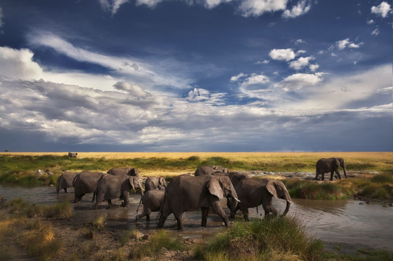 Лучшие фотографии  National Geographic