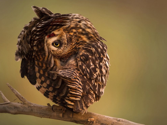 Лучшие фотографии  National Geographic