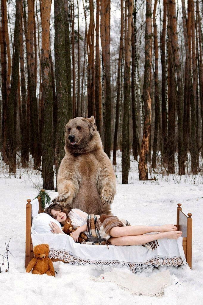 Фотографии моделей с 650-килограммовым медведем в заснеженном лесу