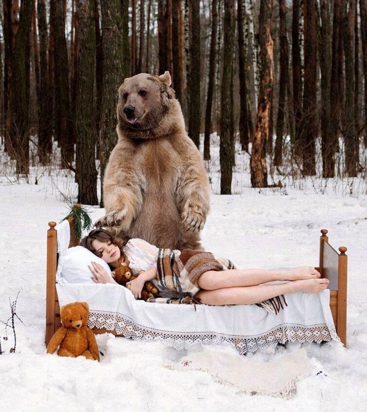 Фотографии моделей с 650-килограммовым медведем в заснеженном лесу