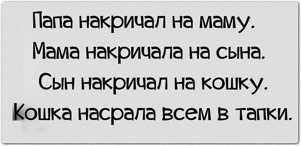 Пост позитива и юмора в пятницу!