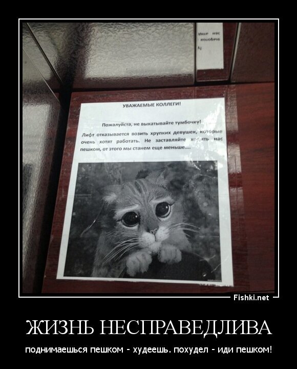 Жизнь несправедлива