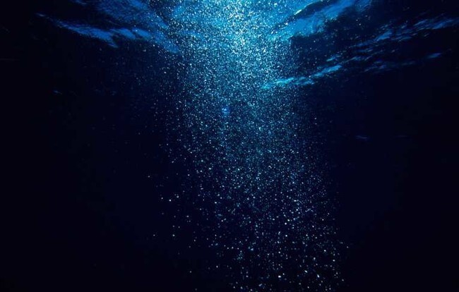 11. Средняя глубина океана - 3,8 км. Свет может проникать только на глубину около 100 м, и потому большая часть нашей планеты находится в постоянной темноте.
