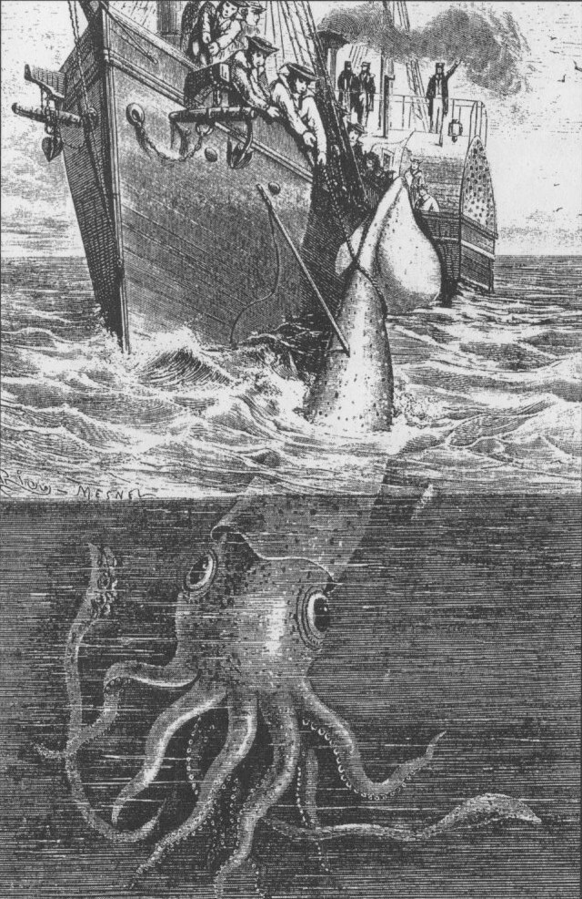 4. Гигантские кальмары считались легендой до 2001 года, когда одного из таких кальмаров удалось сфотографировать.