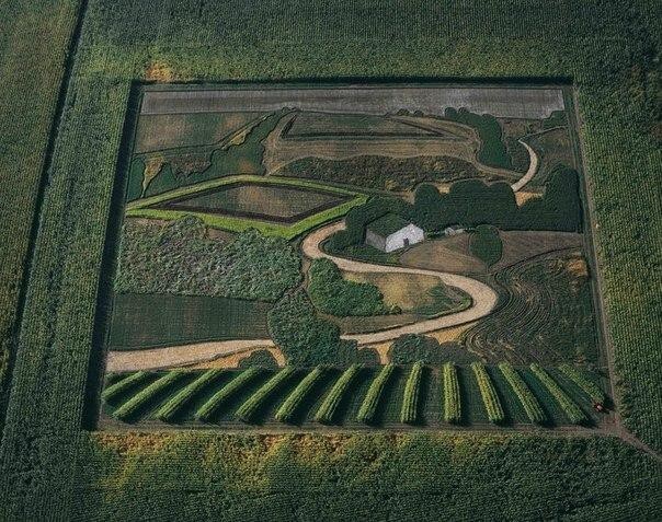 Рисунки на полях от американского художника Стэна Херда