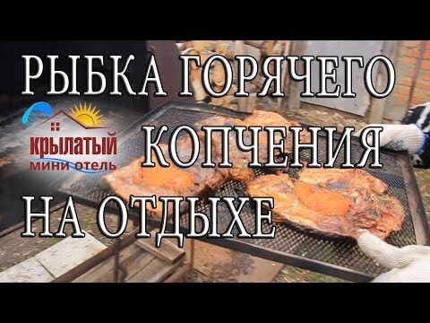 Рыбка горячего копчения на отдыхе 