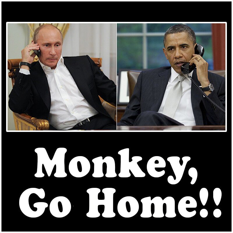 Monkey, go home!