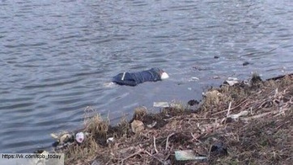 В Москве-реке обнаружен изувеченный утопленник со связанными руками