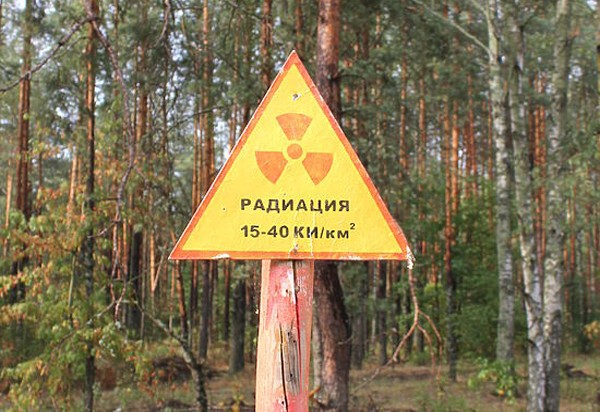 В Чернобыле горят гектары радиоактивного леса