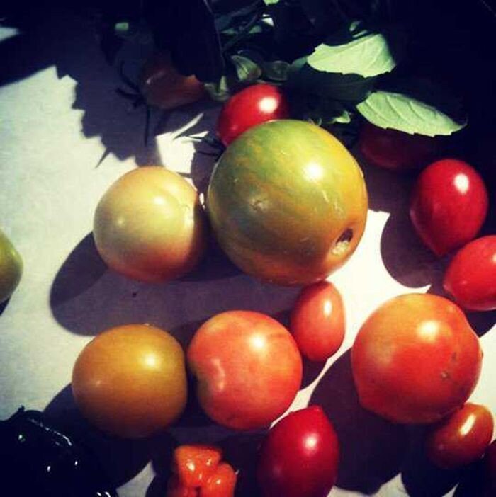 1. Хотите вырастить сладкие помидоры? Используйте пищевую соду