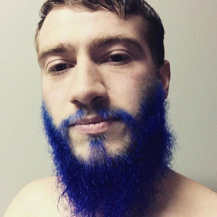Синяя борода занимает лидирующее место