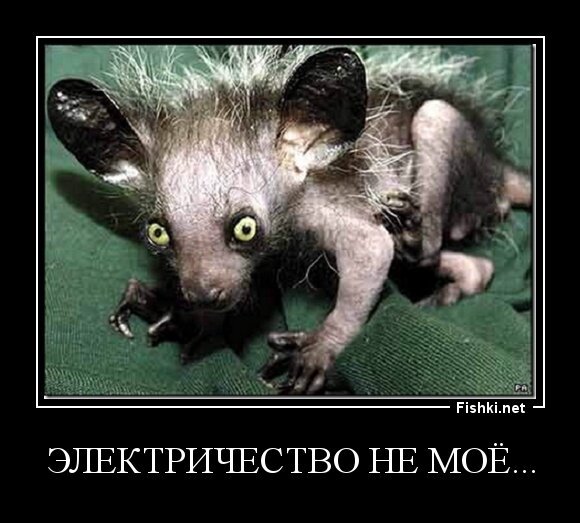 ЭЛЕКТРИЧЕСТВО НЕ МОЁ...