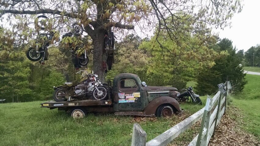 Мотоциклы на дереве