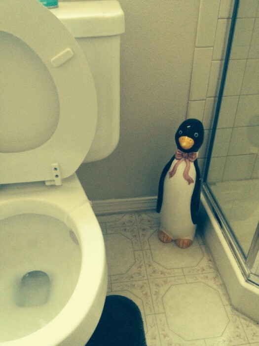 Пингвин, который видел многое