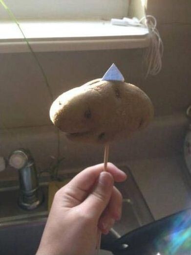 "Мой папа вырастил картошку, похожую на акулу проткнул её шпажкой, прикрепил к ней бумажный плавник и назвал её Акулатофель"