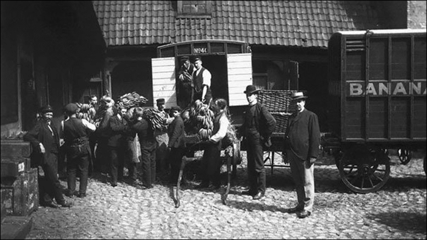 Норвегия впервые в истории получила партию бананов, 1905