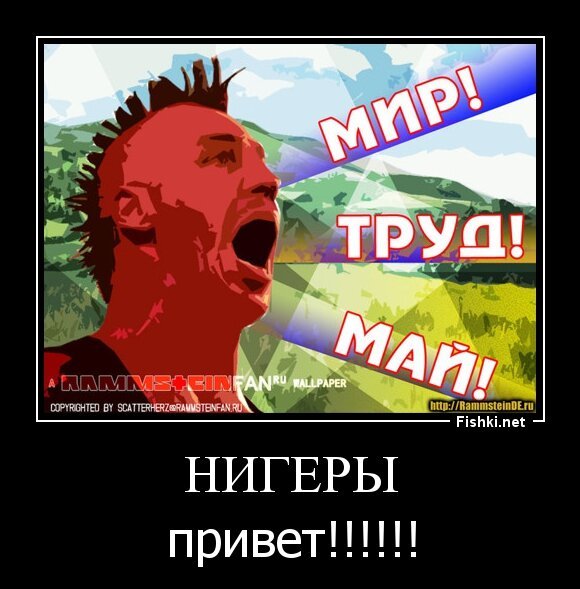 НИГЕРЫ