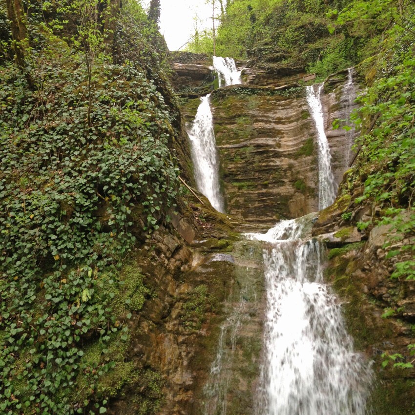 Путь к водопадам Псыдах и Шапсуг