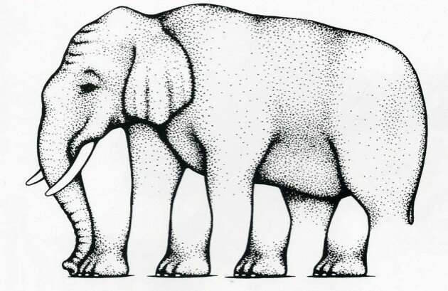 1. Сколько ног у слоника?