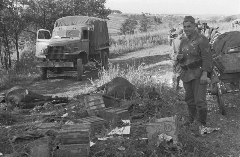 Немецкий солдат из обоза 167-й пехотной дивизии у тел убитых лошадей. 