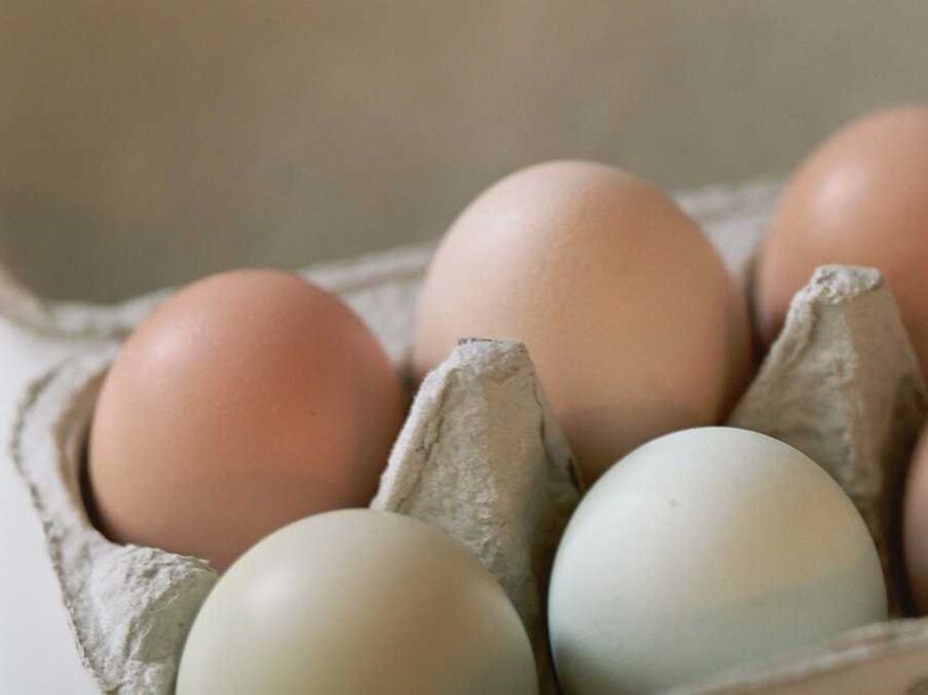 Сырые яйца