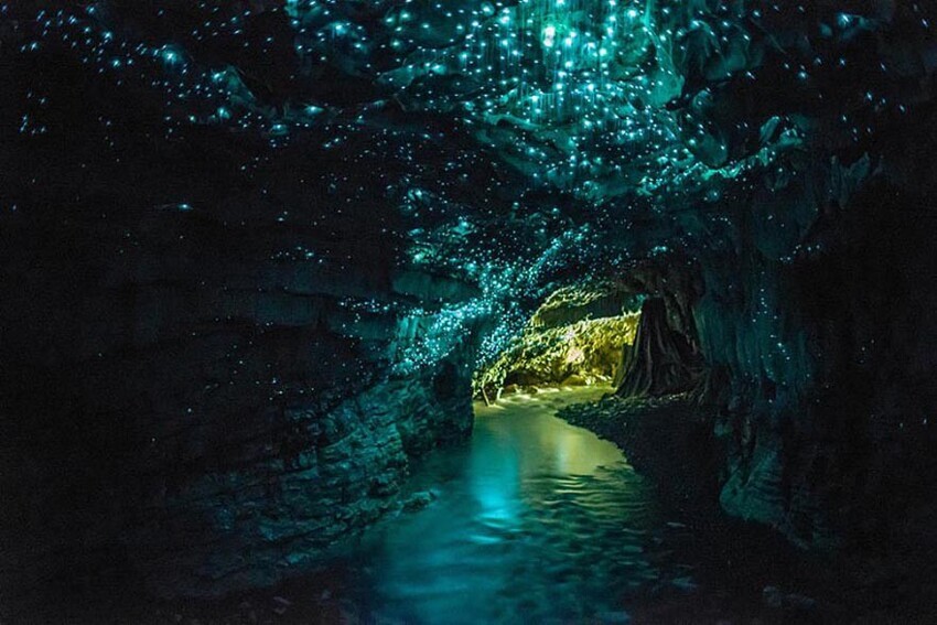 4. Пещера светлячков, Новая Зеландия