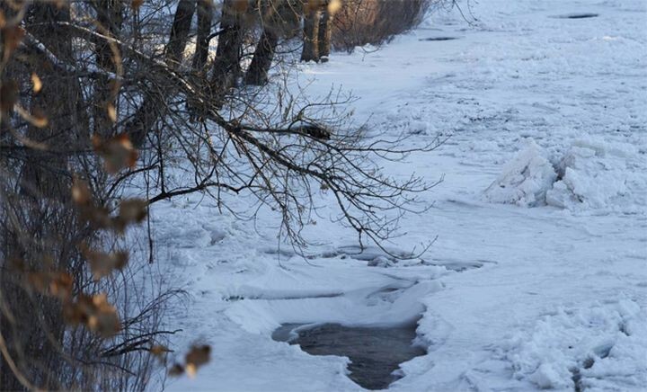 Выжившая час под водой