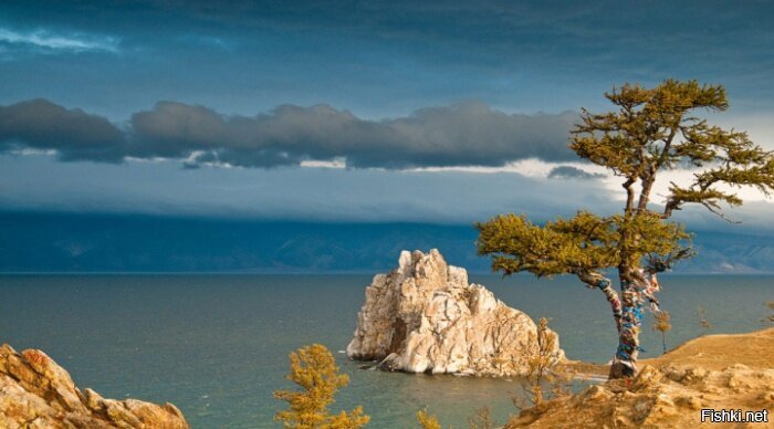 Шикарный вид Шаман-дерево отлично вписывается в красоту Байкала