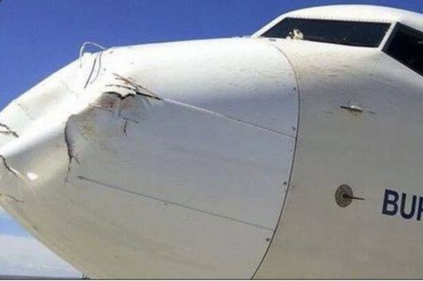 Нос самолета после столкновения с птичкой