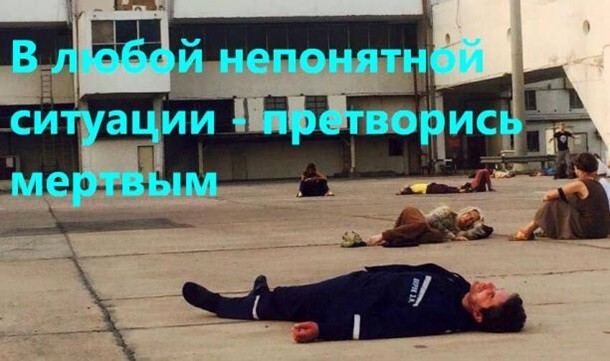 Спящий Шкиряк взорвал соцсети: фотожабы