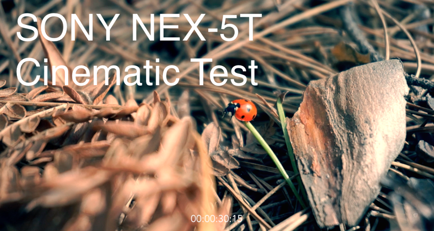 Тест видео режима "беззеркалки" Sony NEX-5T (ссылка в комментах)