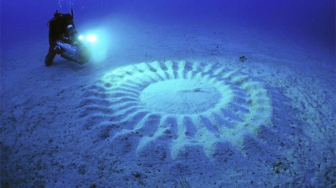 Загадочные подводные круги, Япония