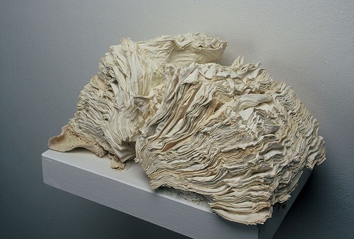 "Эндоскелет", 2010 
