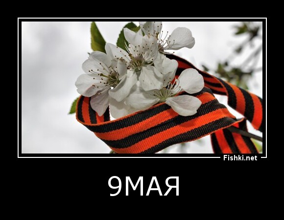 9мая