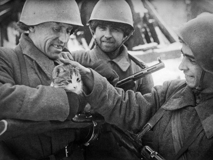 Советский солдат держит кошку в руках, Сталинград (фотограф: А. Кричевский).