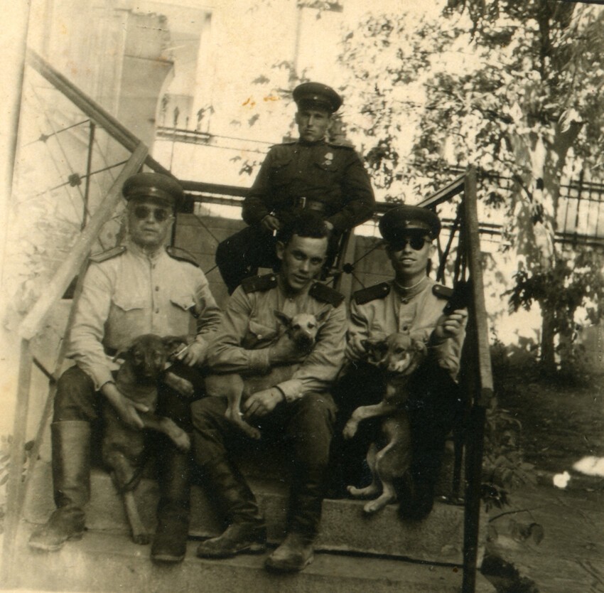Группа из КРО СМЕРШ 37-й армии.