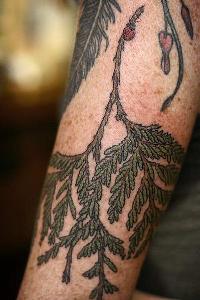 Татуировки в стиле «ботаника»: невероятные изображения цветов и листьев